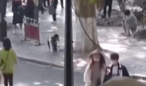 风景爆料女主播视频,带你领略自然魅力  第2张